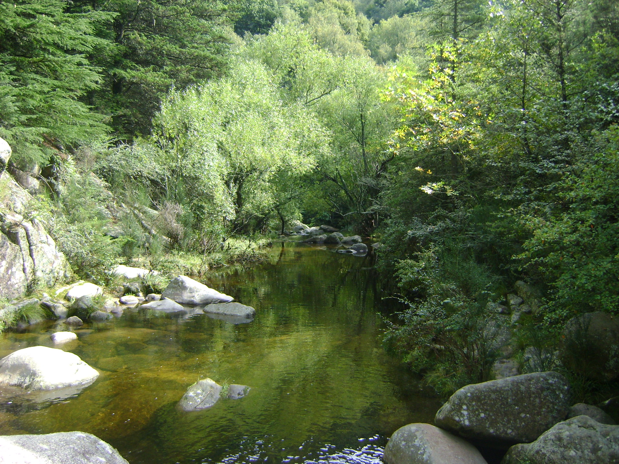 fotos/2011 - Los Reartes/DSC03384.JPG